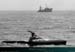 19900804_rquinoceen_navirepeche