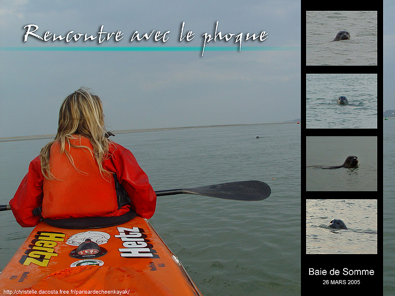 20050326 - rencontreaveclephoque_lo