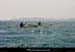 20010615_giens_km_nav_renaud_philippe_5