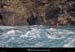 20090306_ qm05_25