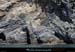20140415_166