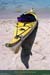 20010307_lessaintes_kmer_paindesucre_kayak_2