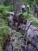 entr�e