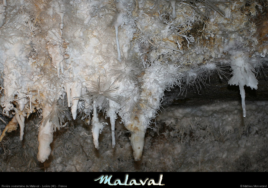 malaval0711_04mm