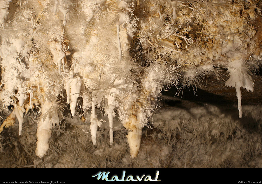 malaval0711_05mm