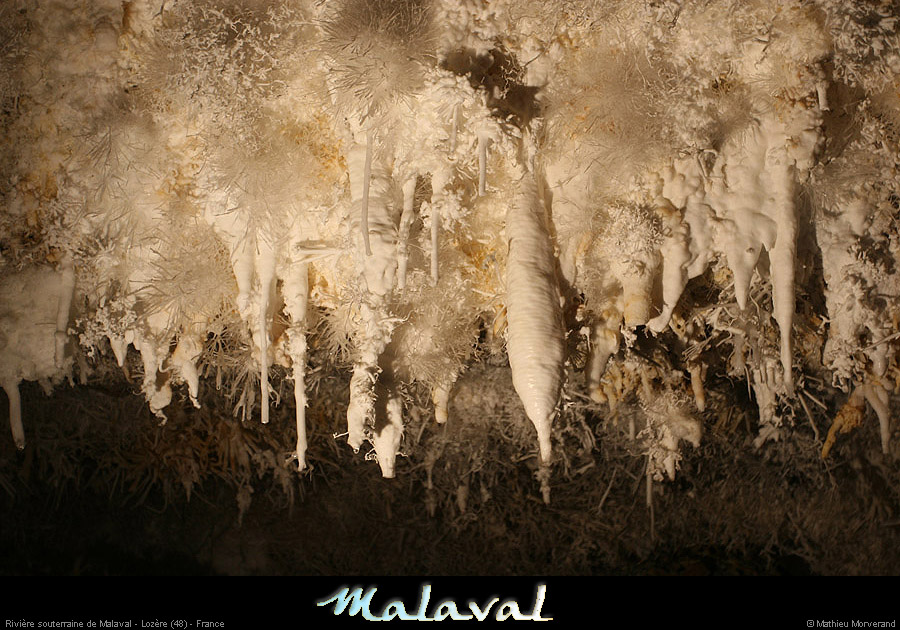 malaval0711_06mm