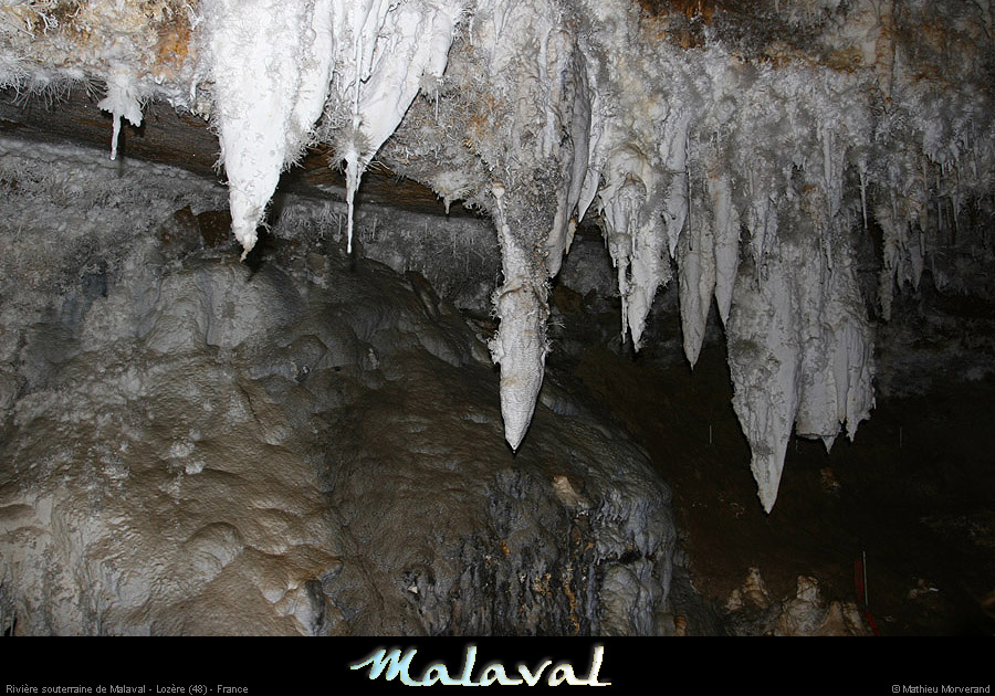 malaval0711_07mm