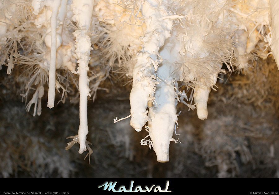 malaval0711_09mm