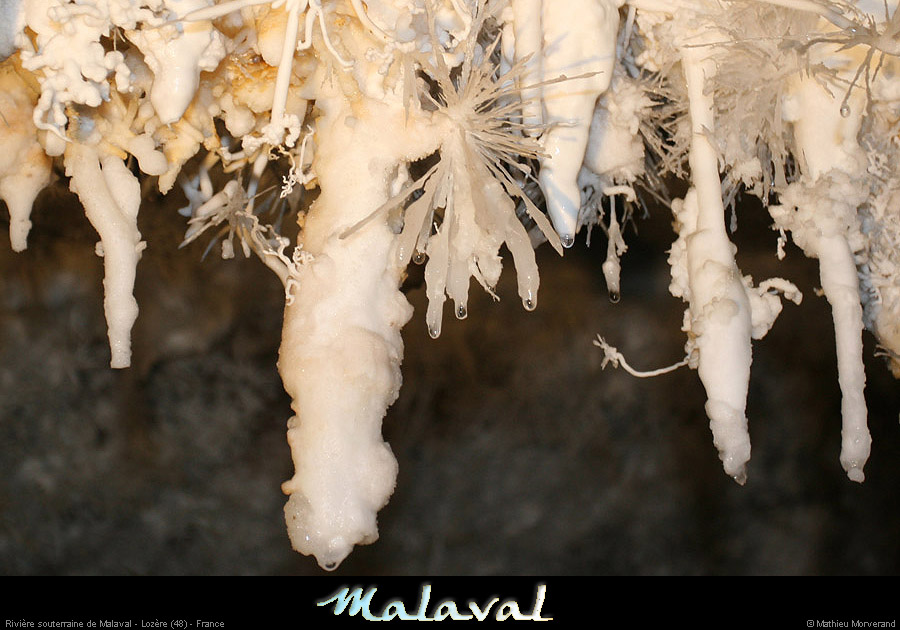 malaval0711_10mm