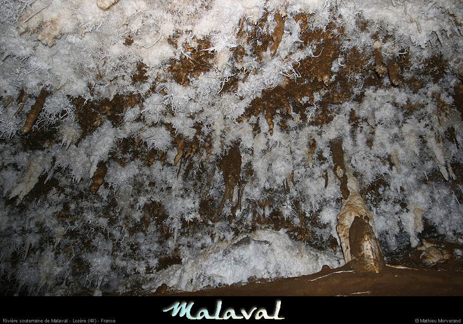 malaval0711_17mm