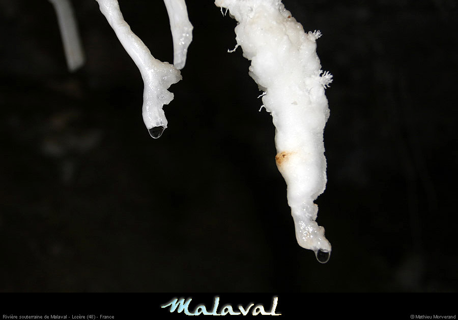 malaval0711_24mm