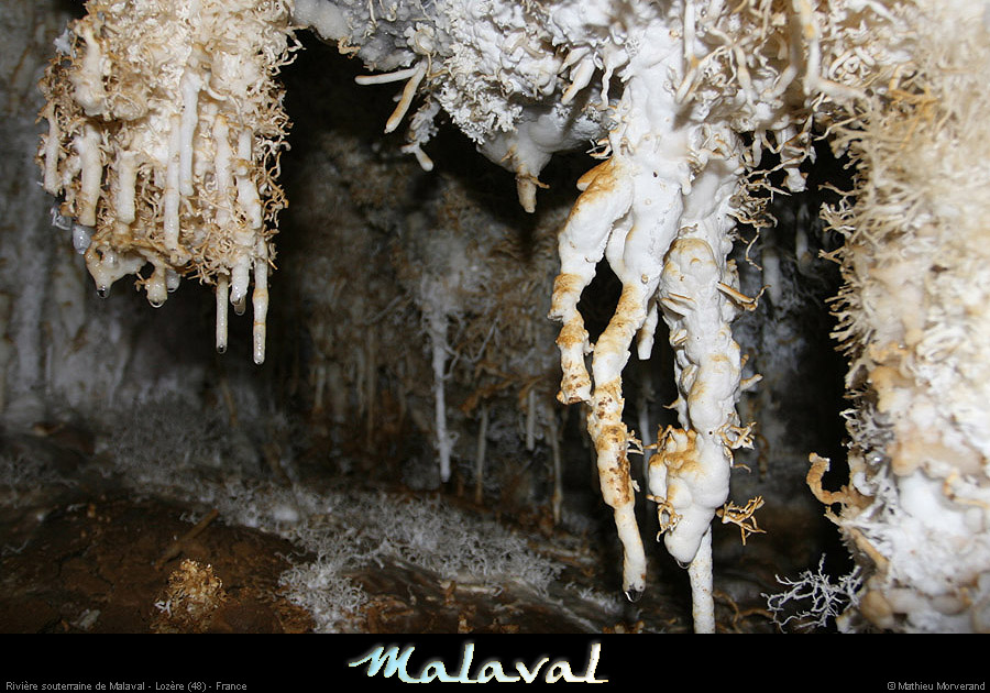 malaval0711_31mm
