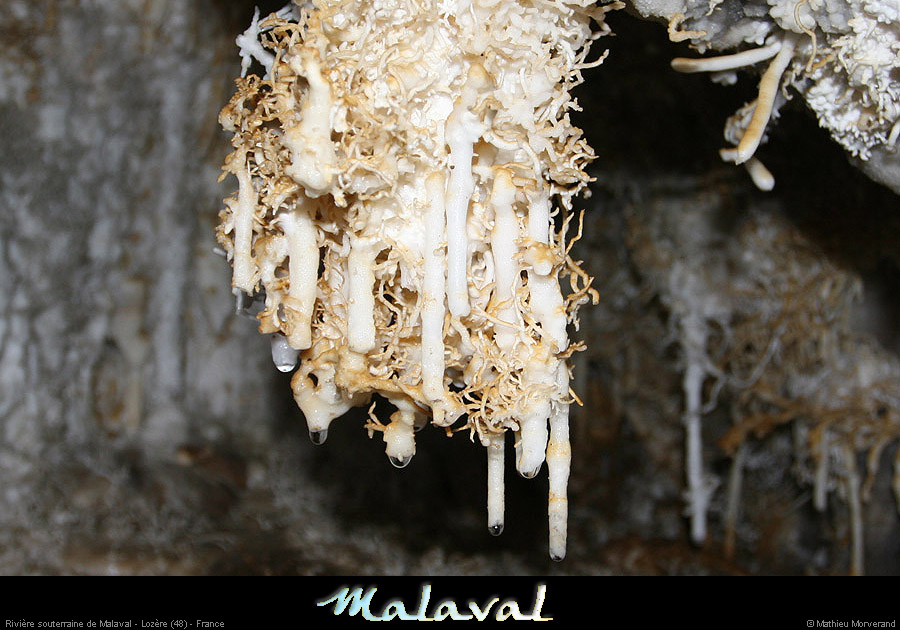 malaval0711_32mm