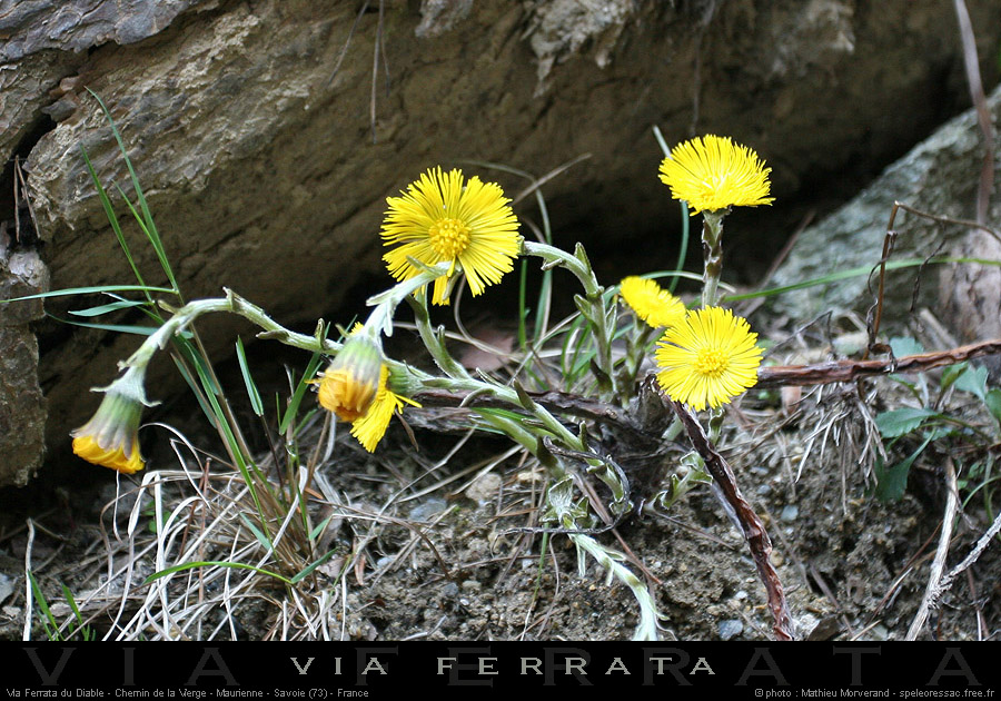 20070415_cheminvierge_38