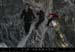 20070415_diablotins_08