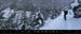 20050128_angelots