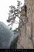 20070414_monteeauciel_05