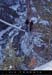 20050129_pellevierge_1