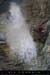 20070415_purgatoire_13