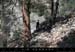 20070415_roismages_01