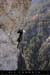 20070415_roismages_17