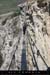 20070415_roismages_50