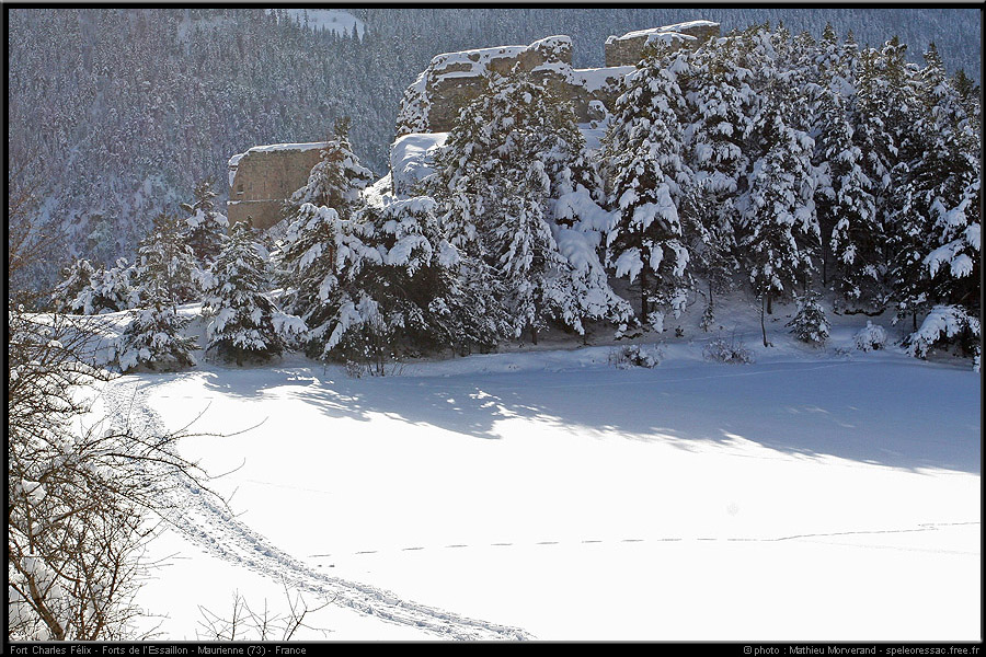 20050128_cfelix