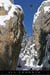 20050130_vfeb_01