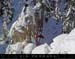 20050130_vfeb_14