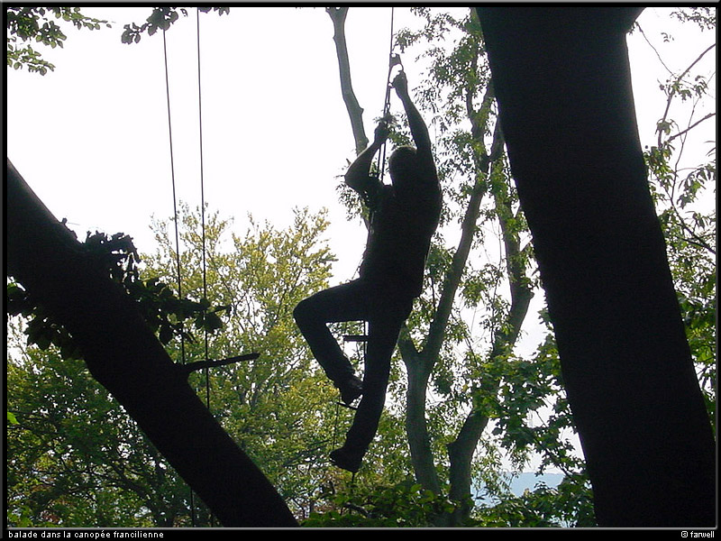 20030927_canopeeidf_06