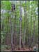 20030927_canopeeidf_01