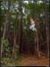 20030927_canopeeidf_04