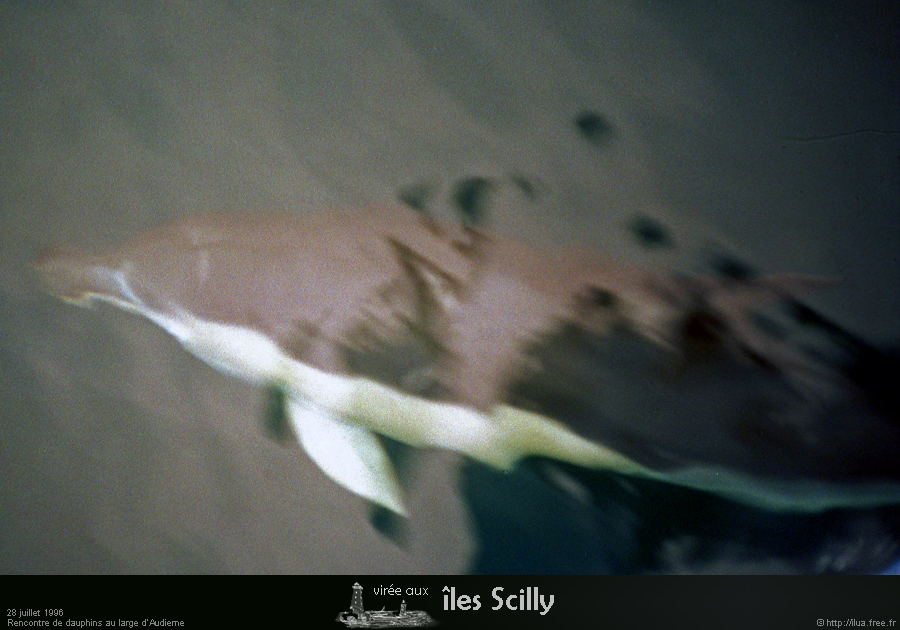 19960728_scilly96_02