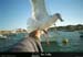 19960724_scilly96_01