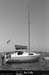 19960724_scilly96_14