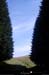 20110715_vtt_bogeve_plainejoux_boisdespointes5