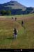 20110716_vtt_onnion_plateaudeplainejoux_sornei1