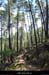 20120624_vtt_stetiennefontbellon_grdbois1