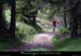 20100529_astet_boisdechambonasvtt
