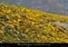20120606_vtt_barnas_pentesdesmortaudes10