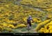 20120606_vtt_mazanlabbaye_serredelapierreplantee6