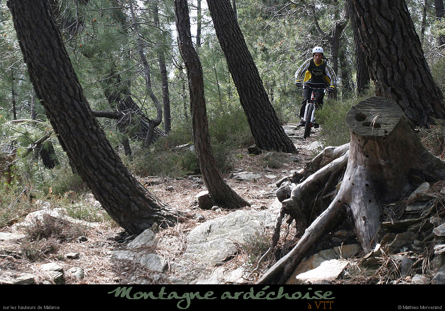 20100506_malarcevtt16