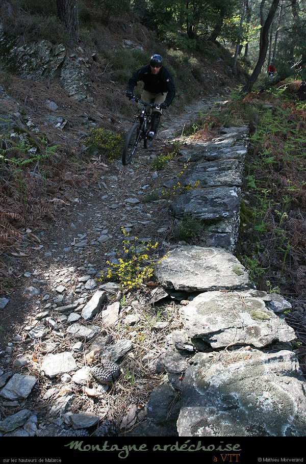 20100506_malarcevtt19