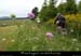20120619_vtt_stclement_pentesdelardeyrol