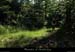 20170621_vtt_burzet_boisaiguebelle