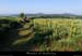 20170621_vtt_burzet_chemindesuclapise1