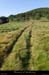 20170621_vtt_sagnesgoudoulet_cheminderanier3
