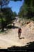 20090529_boisdefaugeres1