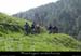 20130407_vtt_standrelachamp_pistedemalmazet