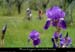 20150503_107